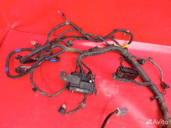 Проводка моторного отсека Kia Rio 4 2017