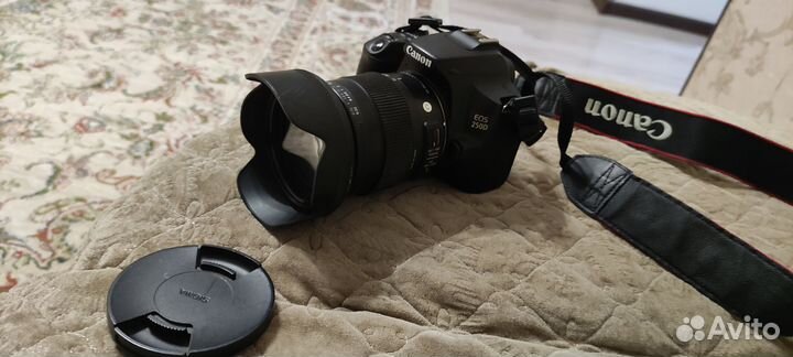 Canon eos 250d +sigma 17-70, 2.8