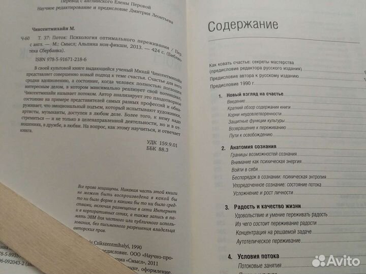 М. Чиксентмихайи 