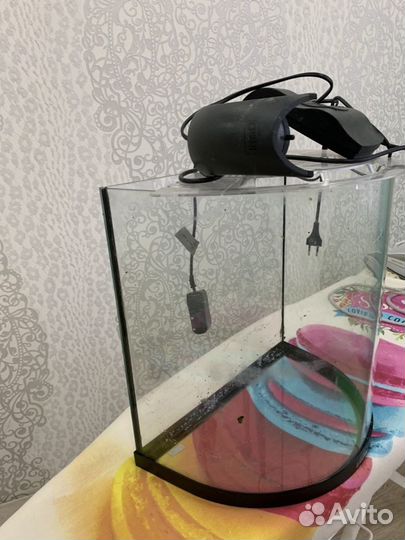 Аквариум и приложение