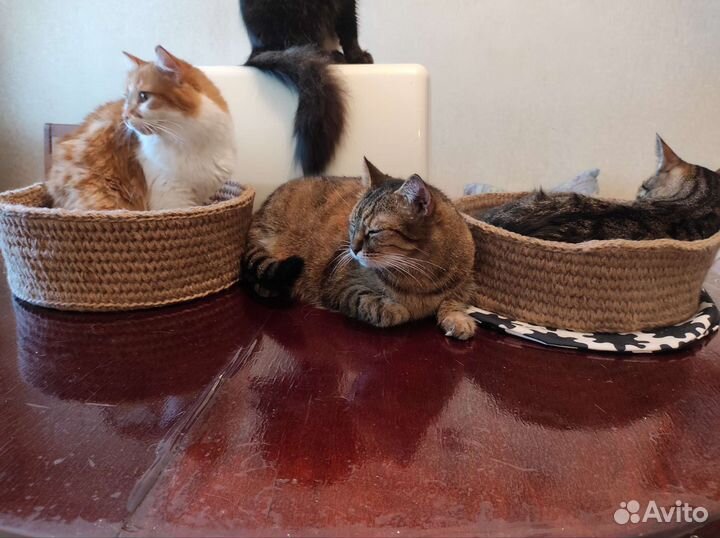 Лежанка из джута