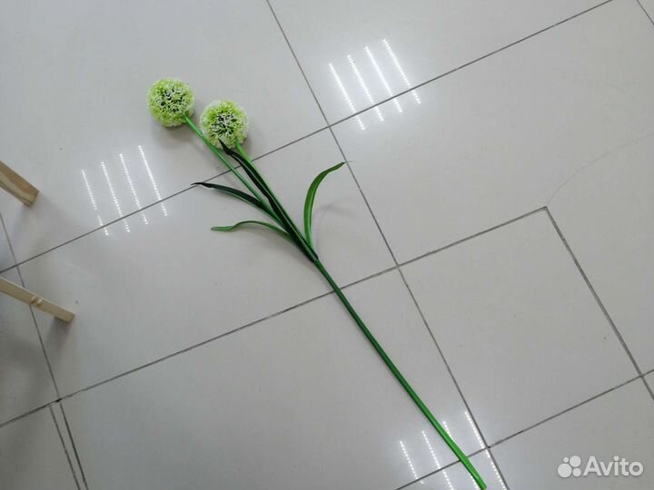 Интерьерные цветы