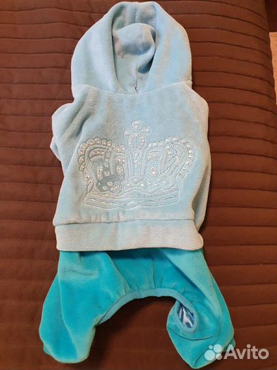 Продам костюмы для собаки