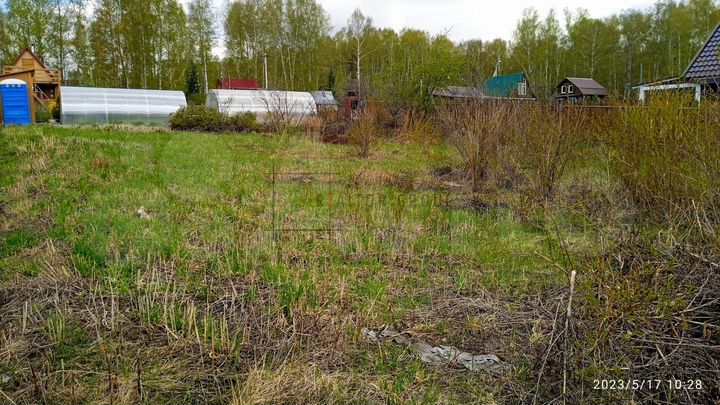 Участок 6 сот. (СНТ, ДНП)