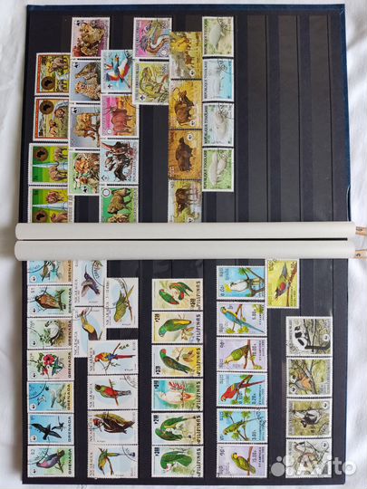 Марки в альбоме Lindner