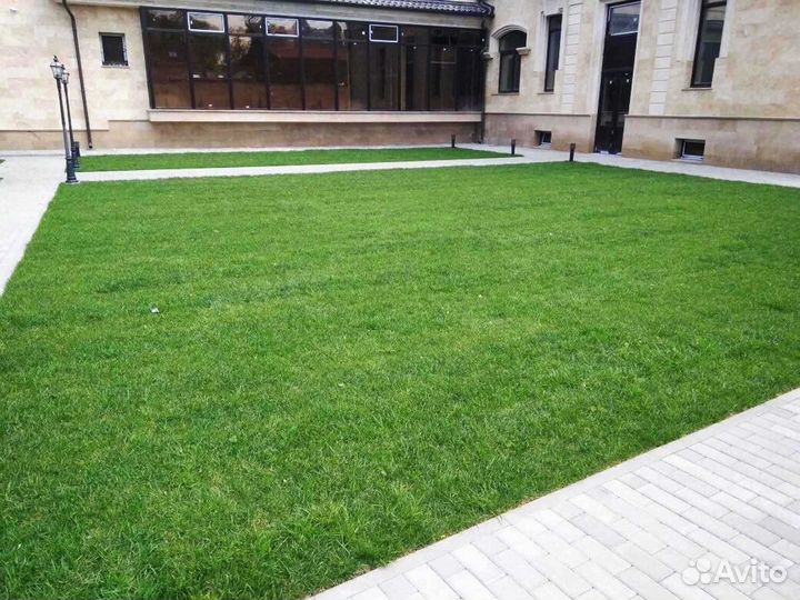 Укладка газона