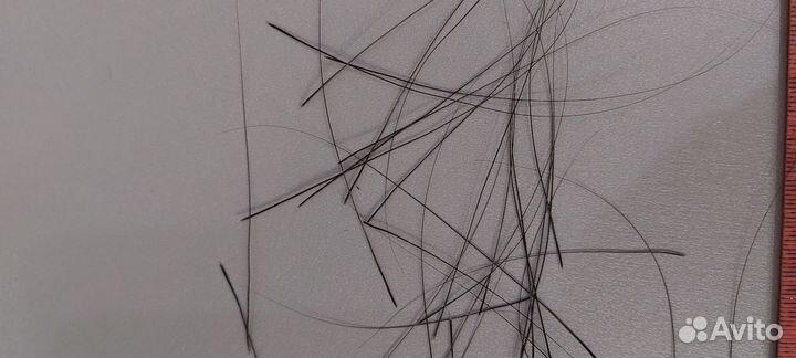 Усы кота мейн куна