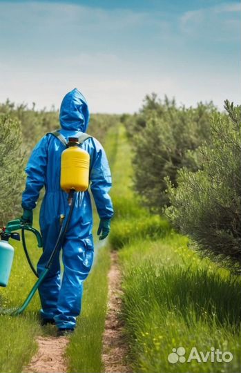 Обработка участка от клещей и комаров