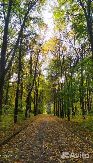 Продам трюковой самокат