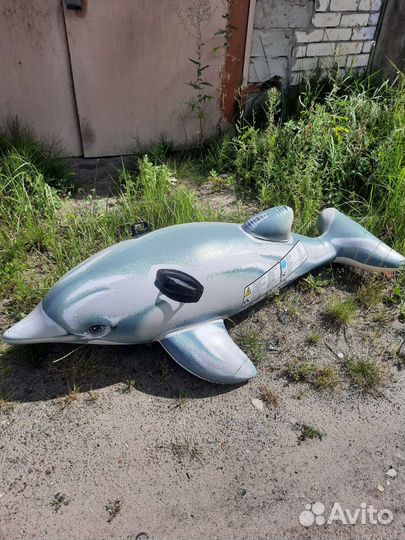 Надувной дельфин для плавания