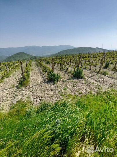 Разнорабочий