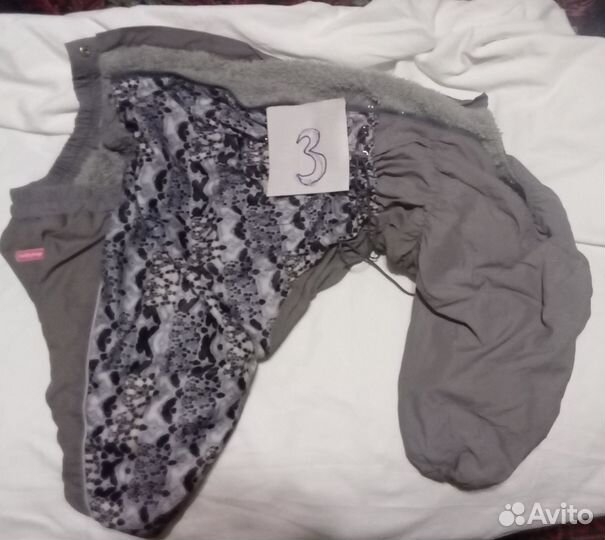 Одежда для собак