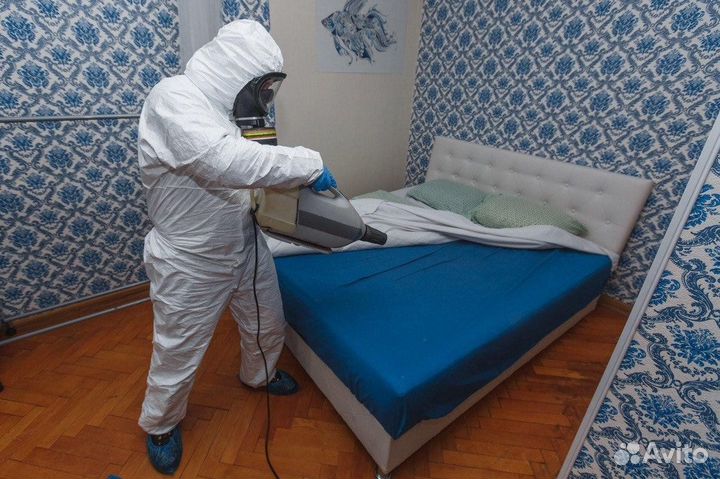 Дезинфекция тараканов клопов морить насекомых