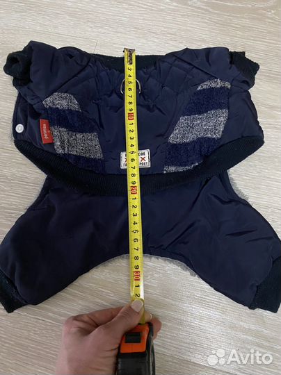 Одежда для маленьких собак