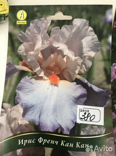 Многолетние цветы