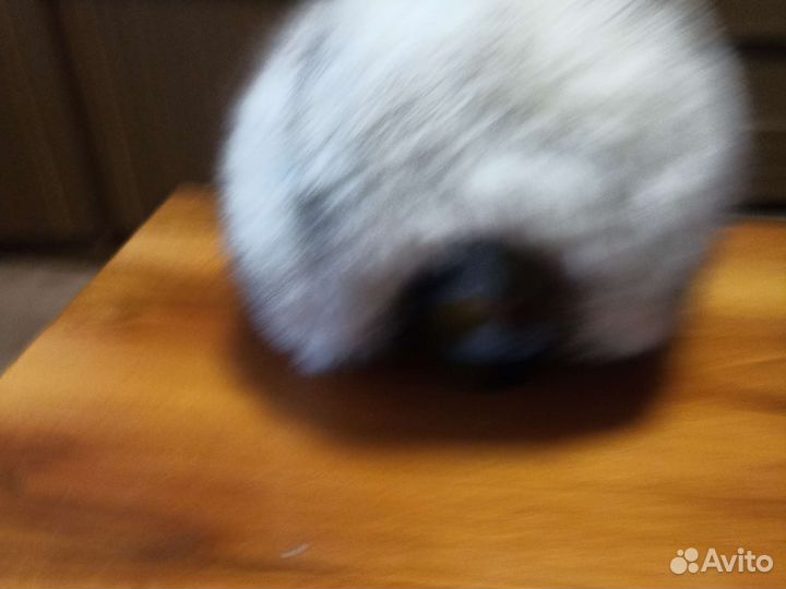 Берет из песца