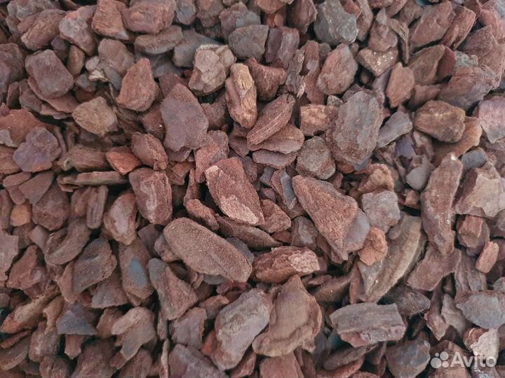 Кора пинии аналог орхиаты