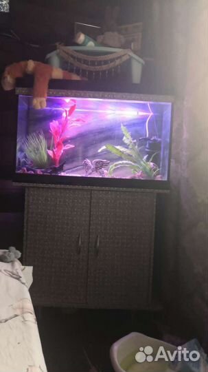 Аквариум с тумбой