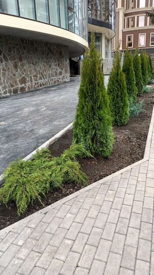 2-к. квартира, 97,2 м², 4/20 эт.