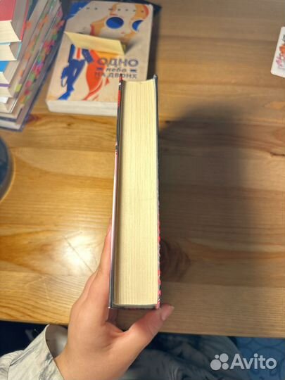 Книга Кристины Старк 