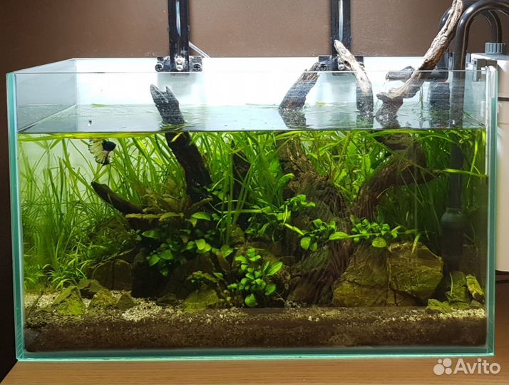 Чистка и обслуживание аквариумов