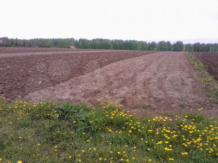 Участок 39 сот. (ИЖС)