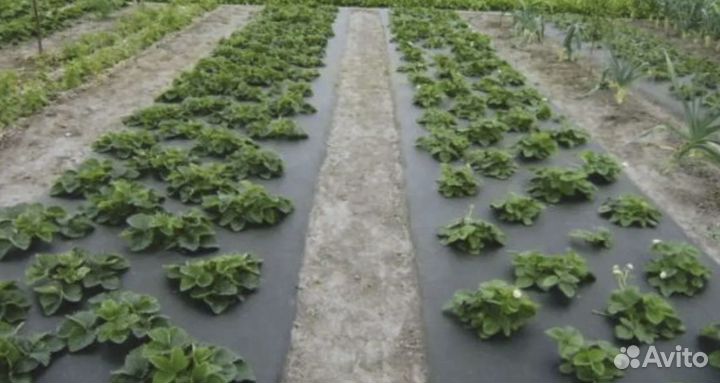 Укрывной материал / Агроспанбонд