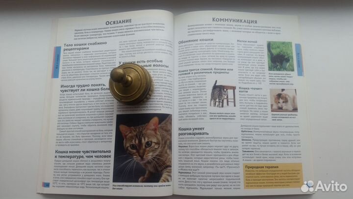 Всё о кошках. Р.Уотсон