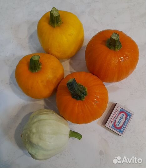 Тыква декоративная для декора