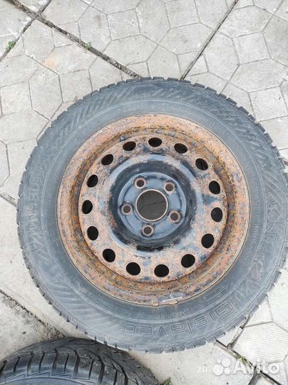 Gislaved Nord Frost 5 185/65 R15