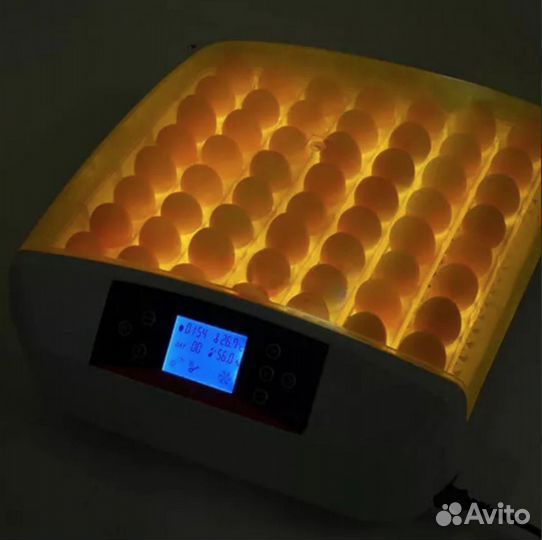 Автоматический инкубатор