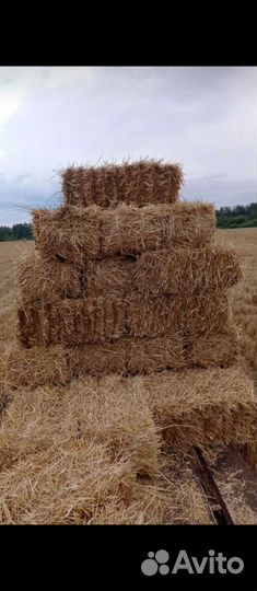 Для животных