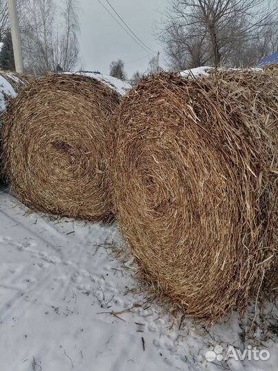 Солома в тюках