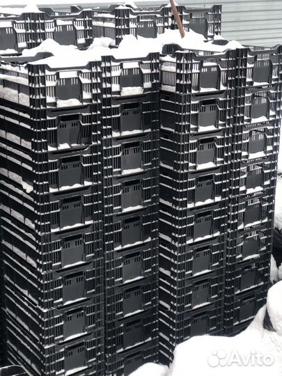 Ящик пластиковый