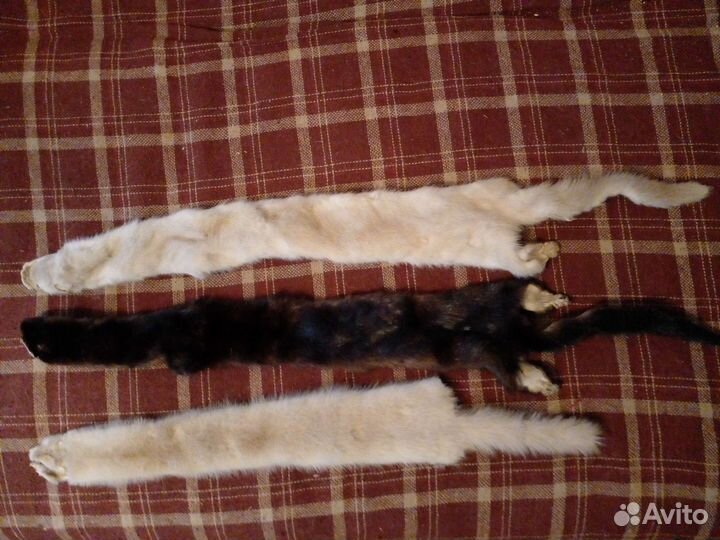 Шкурка животного