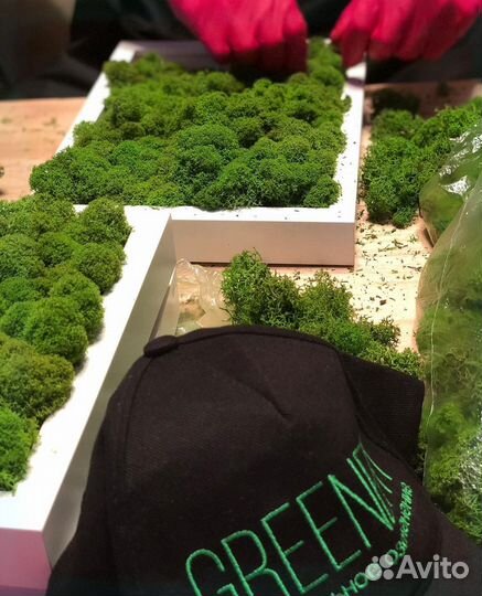 Стабилизированный мох панно