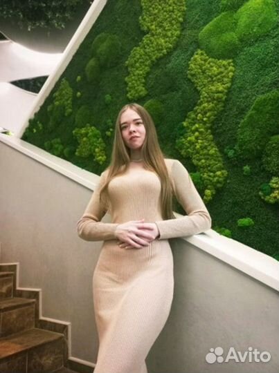 Репетитор по математике онлайн