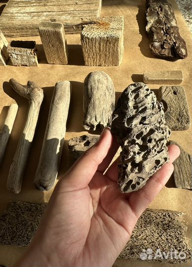 Дрифтвуд набор