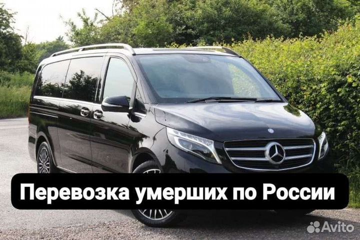 Перевозка умерших Катафалк Рефрижератор