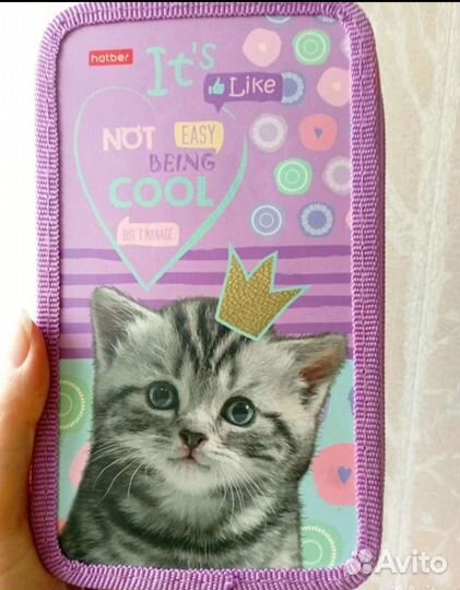 Рюкзак школьный hummigbird