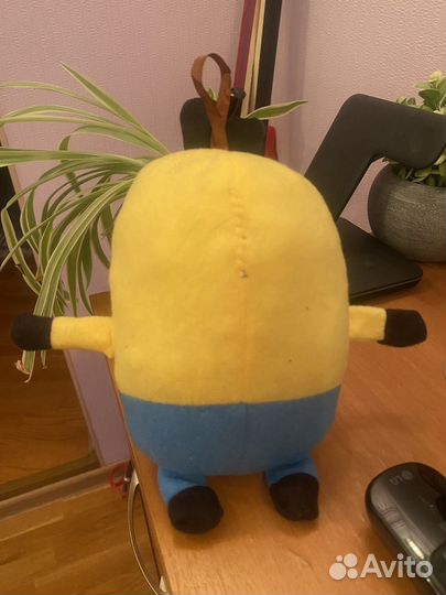 Миньон новый