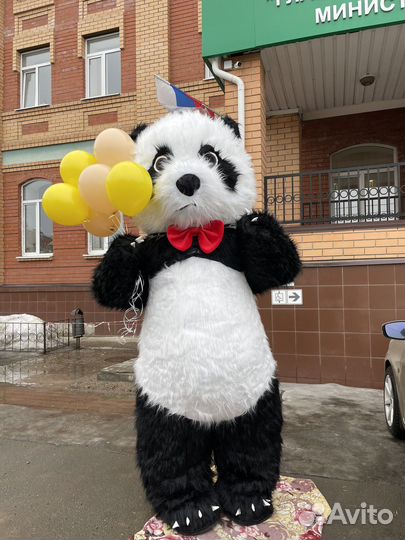 Большой Медведь аниматор на праздник панда