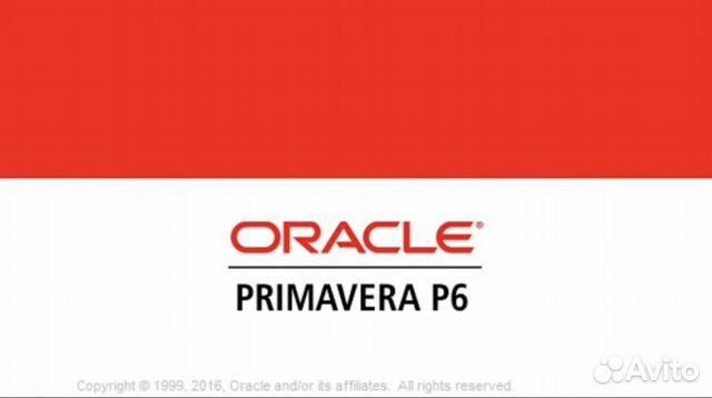 Primavera P6 (Oracle)