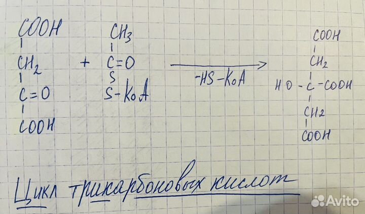 Переписать, напечатать или срисовать