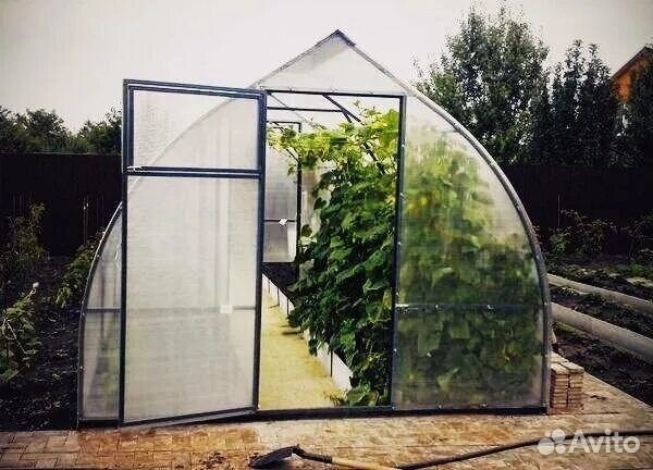 Теплица Капелька