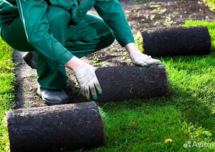 Рулонный газон - производство,доставка,укладка