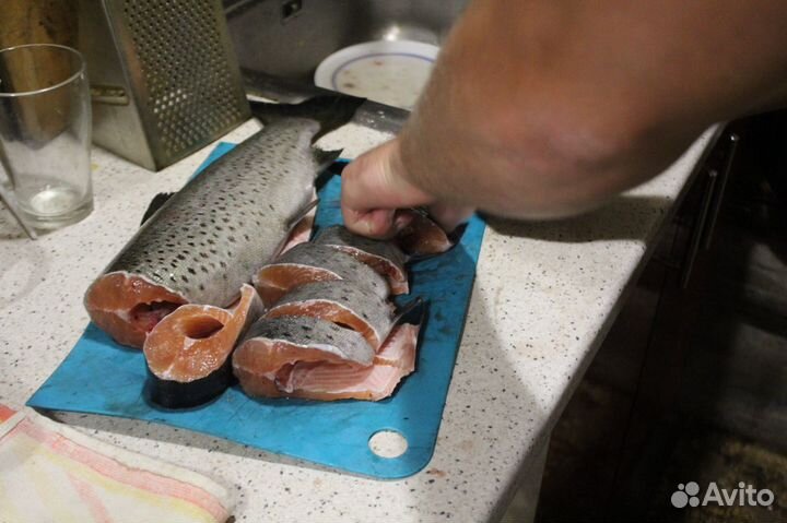 Лососёвая рыбалка на севере Карелии (Пяозеро)