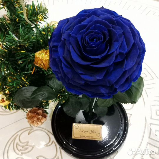 Роза в колбе king