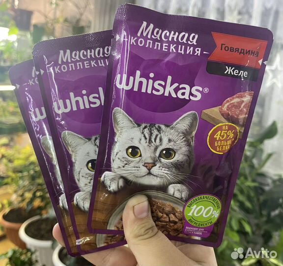 Корм для кошек