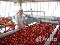 Оператор линии на производство